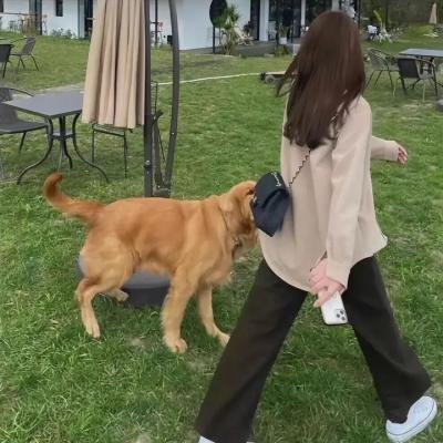外科医生马丁 第四季